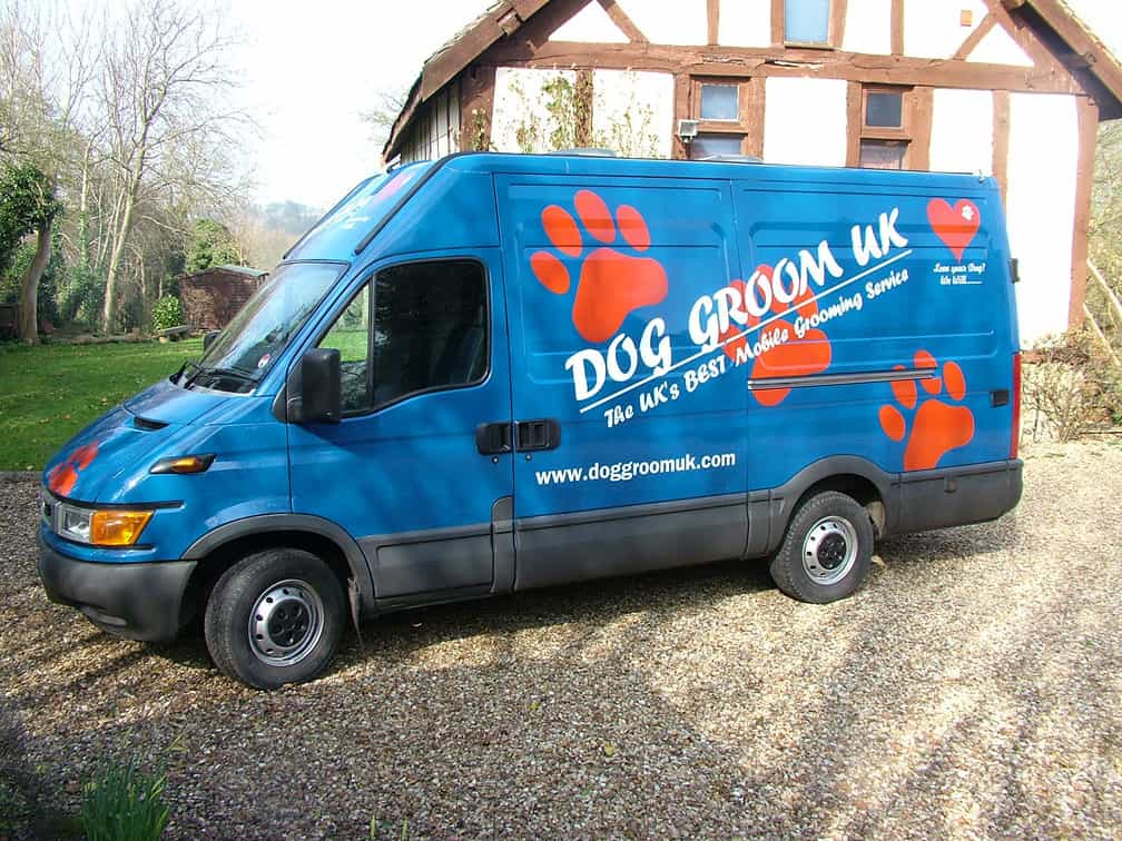 A dog being groomed at home with clippers on a work surface